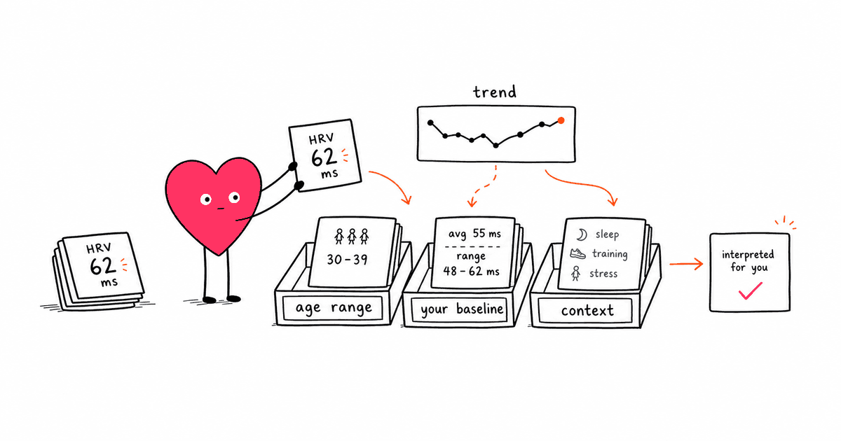 HRV Numbers by Age: What's Normal? (Charts + Ranges)